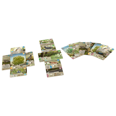 Juego mesa forest shuffle dartmoor