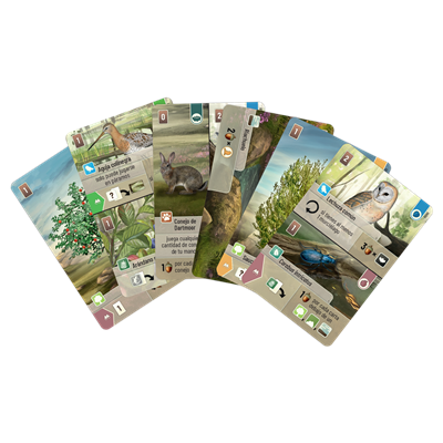 Juego mesa forest shuffle dartmoor