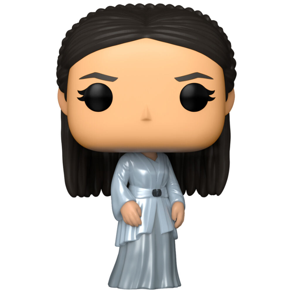 Funko pop la casa del dragn